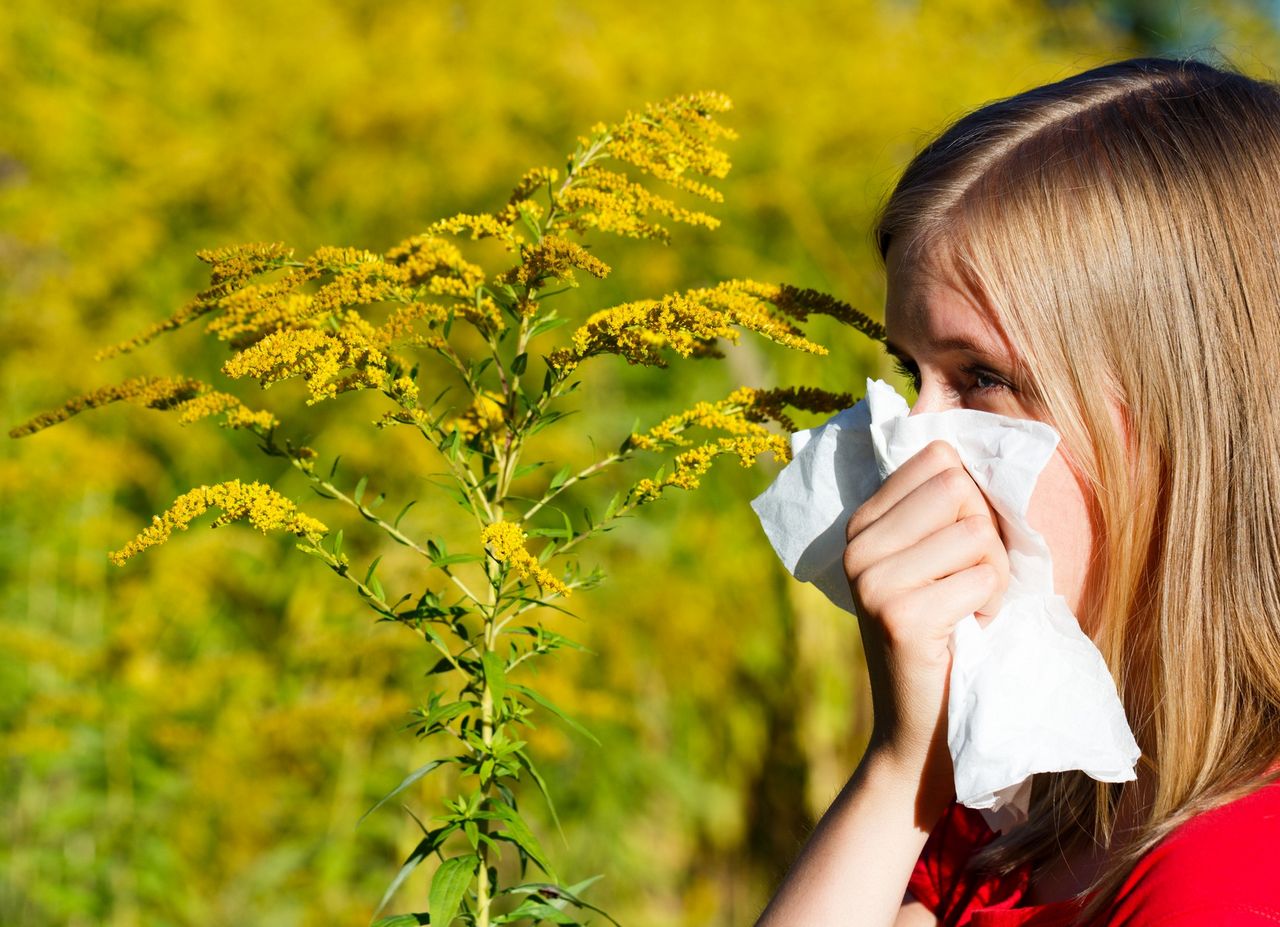 Sezon na alergie sprawdź jak rozpoznać i leczyć - wywiad z dr n. med. Ewą Czernicką-Cierpisz